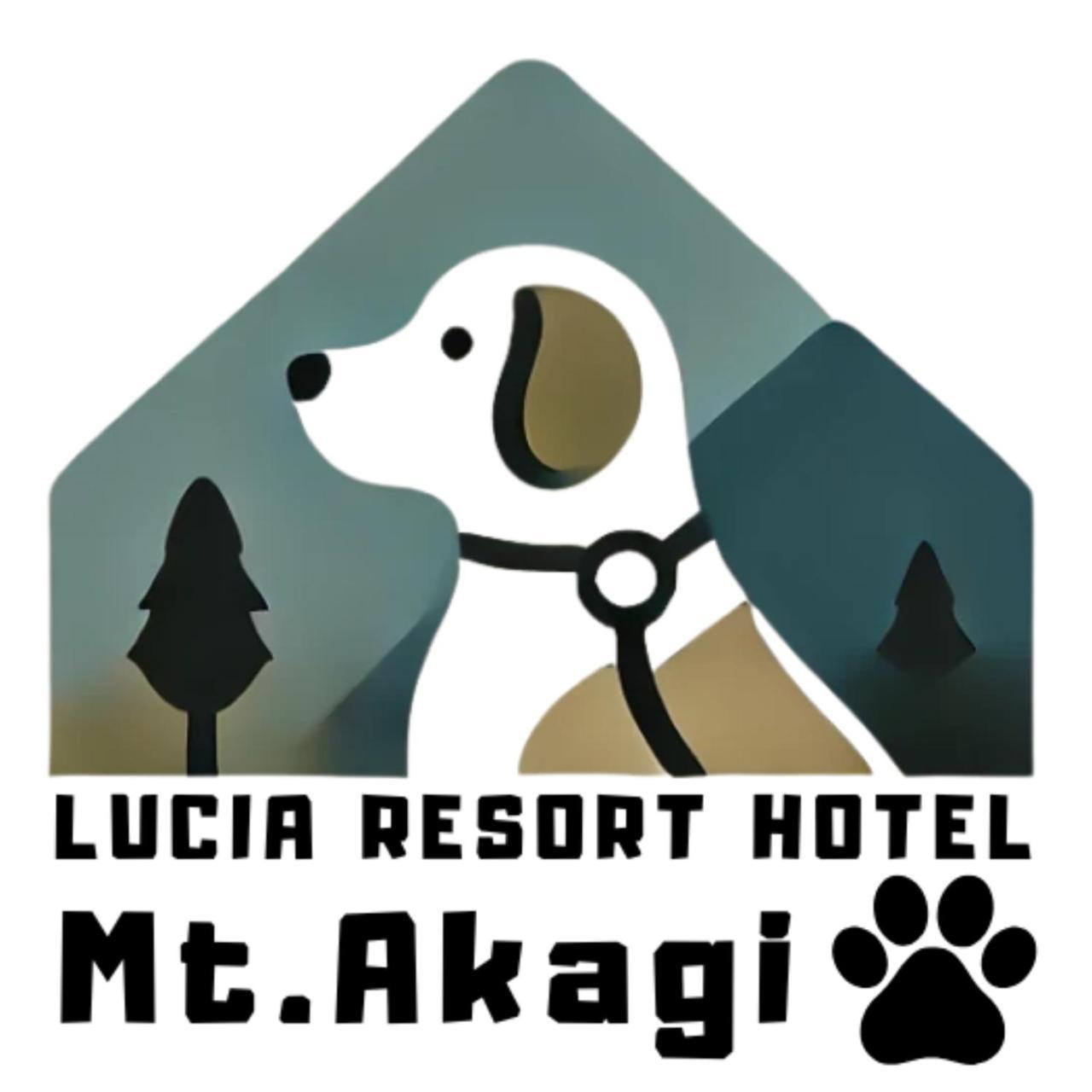 Hotel Lucia At Maebashi Akagi Exterior photo